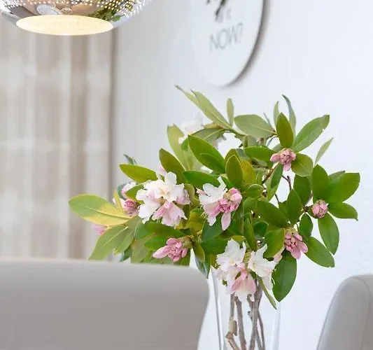 Atlantik 40 Drn2 40 Lejlighed